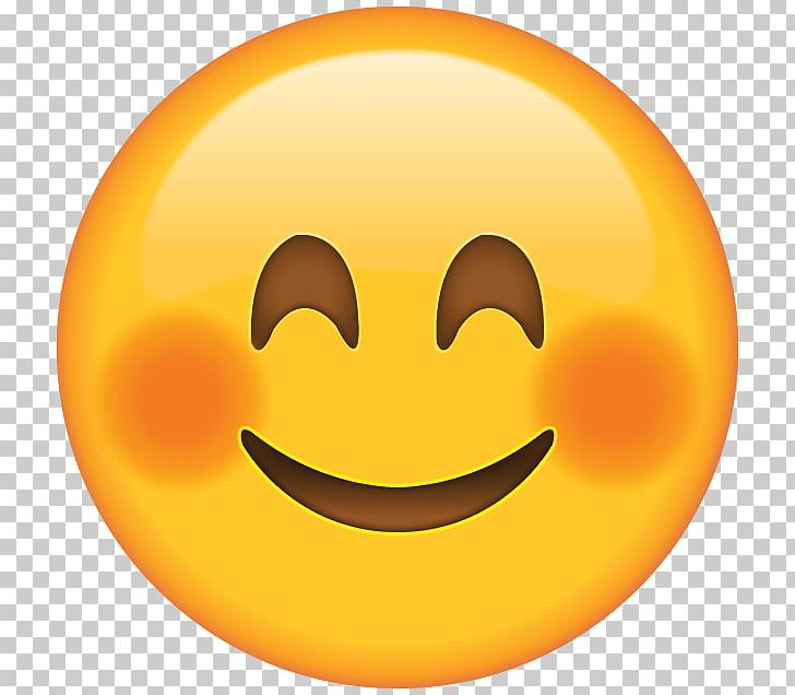 Blushing Emoji Smiley Face PNG, Clipart, Blushing, Cartoon, Cartoon  Expression, Cartoon Smile, Circle Free PNG Download