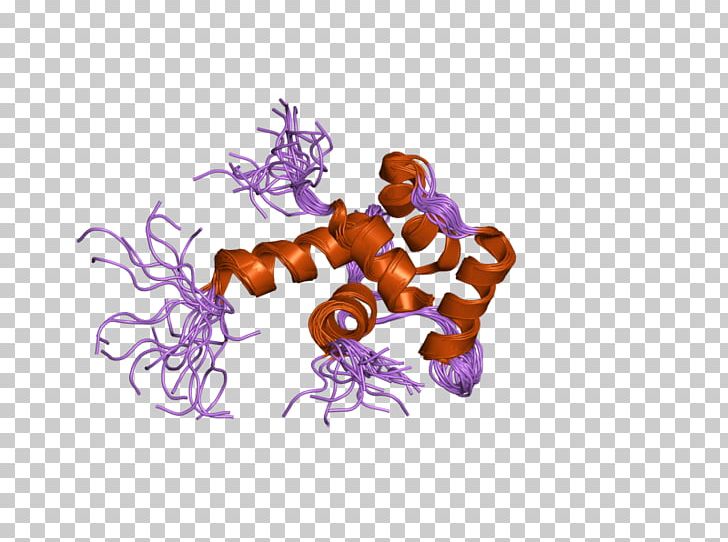 Centrin 1 Centrin 2 Protein Family PNG, Clipart, Calcium, Centrin 1, Centrin 2, Complex, Domain Free PNG Download