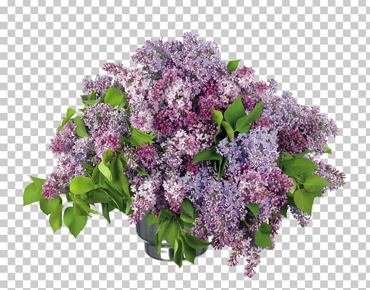 Lilac Desktop Flower Bouquet PNG, Clipart, Branch, Color, Cut Flowers, Desktop Wallpaper, Display Resolution Free PNG Download