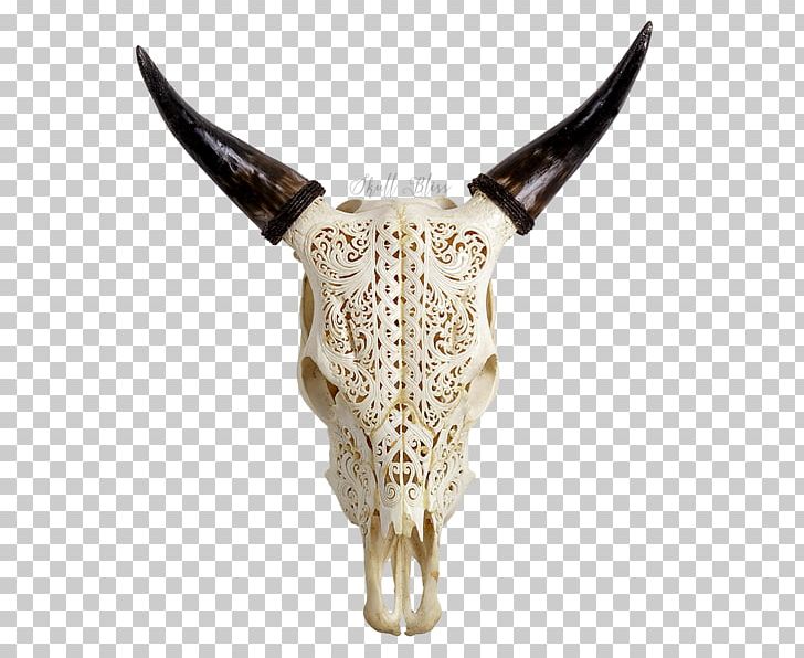 Skull Horn Cattle Head Animal PNG, Clipart, Animal, Antique, Balinese People, Barbed Wire, Bliss Free PNG Download
