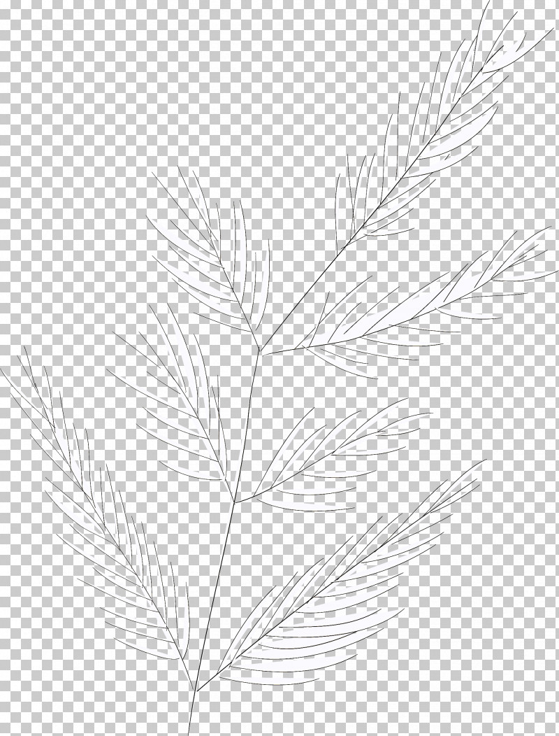 Simple Leaf Simple Leaf Drawing Simple Leaf Outline PNG, Clipart, Biology, Grasses, Leaf, Line, Line Art Free PNG Download