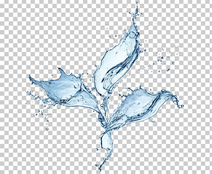 Water Drop PNG, Clipart, Branch, Color, Computer Graphics, Deviantart, Drawing Free PNG Download