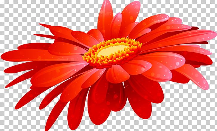 Flower Transvaal Daisy PNG, Clipart, Blog, Chrysanths, Cicek, Cut Flowers, Daisy Free PNG Download