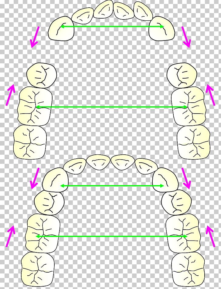 Human Behavior Finger Plant PNG, Clipart, Angle, Animal, Area, Behavior, Circle Free PNG Download