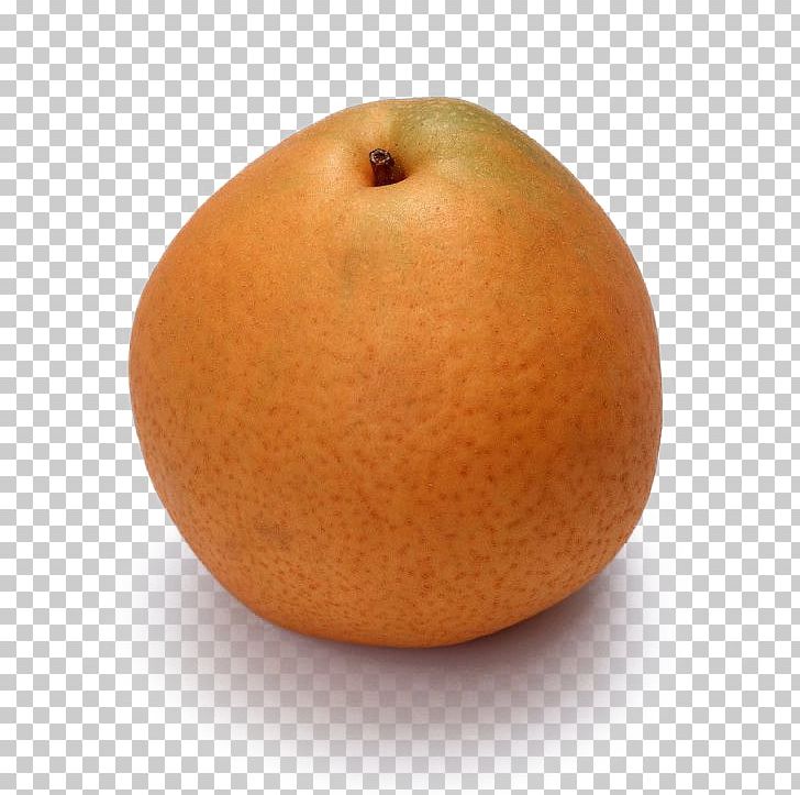Pear Grapefruit PNG, Clipart, Apple Pears, Citrus, Download, Euclidean Vector, Food Free PNG Download