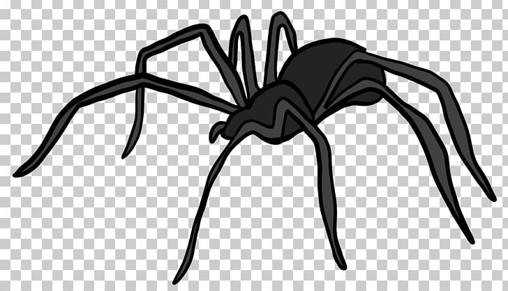 Widow Spiders Pest Control Orkin Wolf Spider PNG, Clipart, Arachnid, Arachnophobia, Arthropod, Black And White, Brown Recluse Spider Free PNG Download