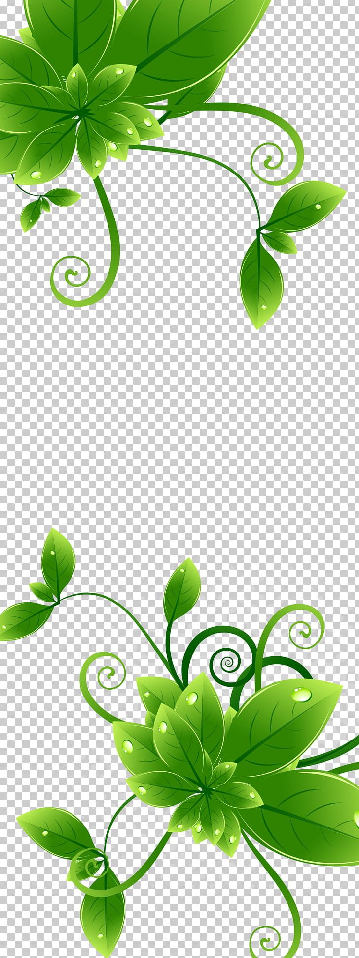 Leaf Text Poster PNG, Clipart, Art, Background, Background Green, Branch, Download Free PNG Download