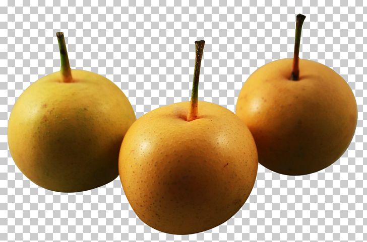 Asian Pear PNG, Clipart, Apple, Asian Pear, Chinese Pear, Data Compression, Download Free PNG Download