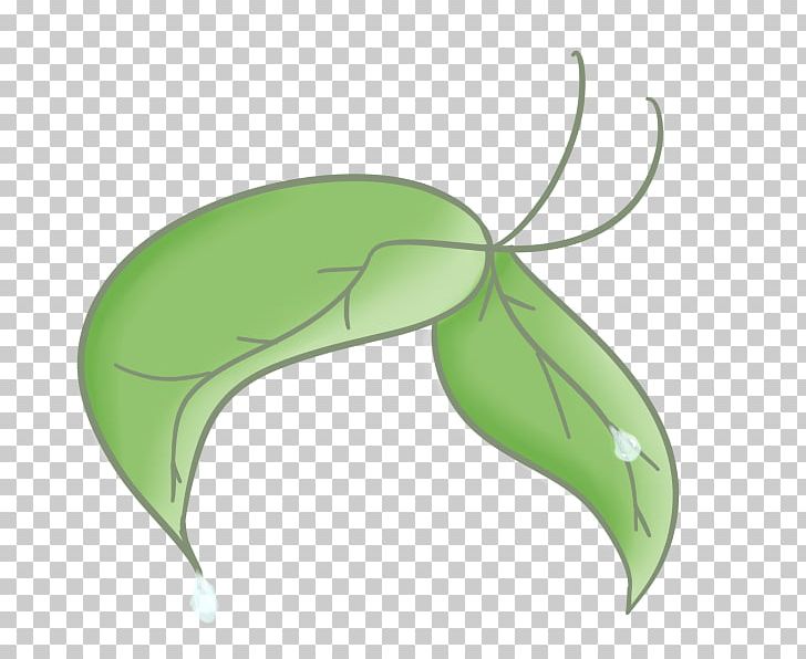 Butterfly Insect Pollinator Leaf PNG, Clipart, Butterflies And Moths, Butterfly, Green, Insect, Insects Free PNG Download