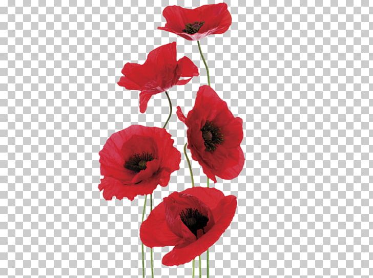 Common Poppy Sticker Remembrance Poppy Wall Decal PNG, Clipart, Artificial Flower, Common Poppy, Coquelicot, Cut Flowers, Flower Free PNG Download
