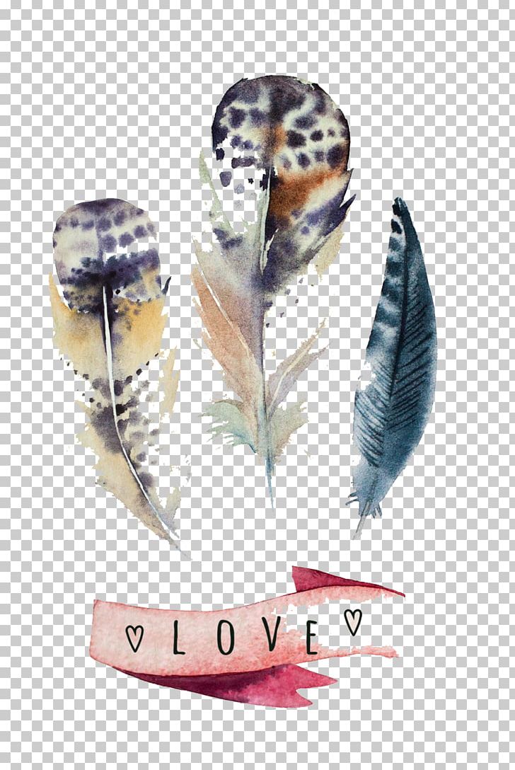 Feather Watercolor Painting Canvas Print PNG, Clipart, Animal Product, Animals, Art, Beautiful, Canvas Free PNG Download