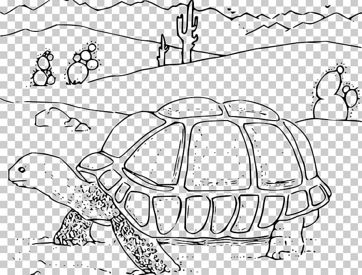 Turtle Sonoran Desert Desert Tortoise Coloring Book PNG, Clipart, Animal, Animals, Area, Art, Black And White Free PNG Download