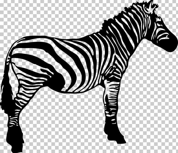 Zebra Black And White Stripe PNG, Clipart, Animal, Animals, Black, Black And White, Cartoon Zebra Free PNG Download