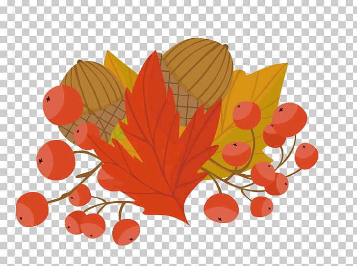Autumn Illustration PNG, Clipart, Adobe Illustrator, Autumn Leaf, Encapsulated Postscript, Flower, Fruit Free PNG Download