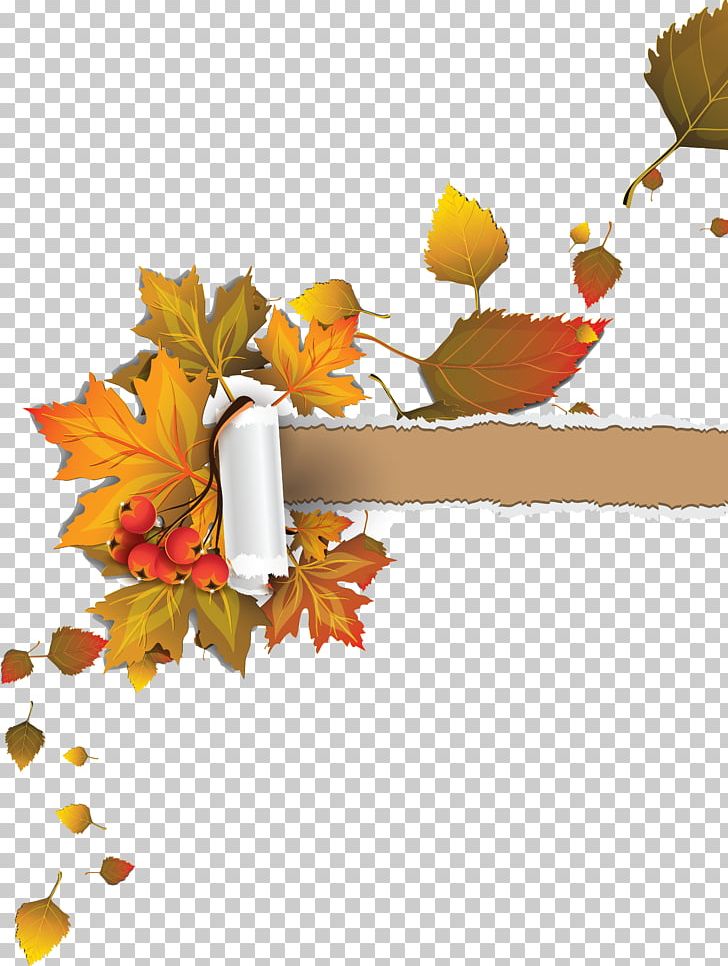 Autumn Leaf Color Autumn Leaf Color Paper Maple Leaf PNG, Clipart, Art, Autumn, Autumn, Autumn In New England, Branch Free PNG Download