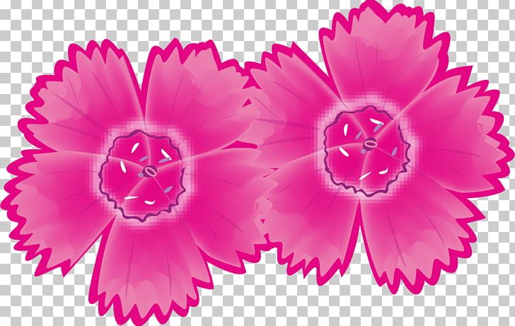 Carnation Peony Pink M Herbaceous Plant Dahlia PNG, Clipart, Carnation, Dahlia, Downloads, Flower, Flowering Plant Free PNG Download