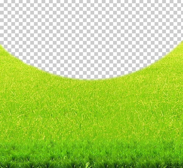 Lawn Green Grasses Grassland PNG, Clipart, Background Vector, Computer, Computer Wallpaper, Effect, Environmental Free PNG Download