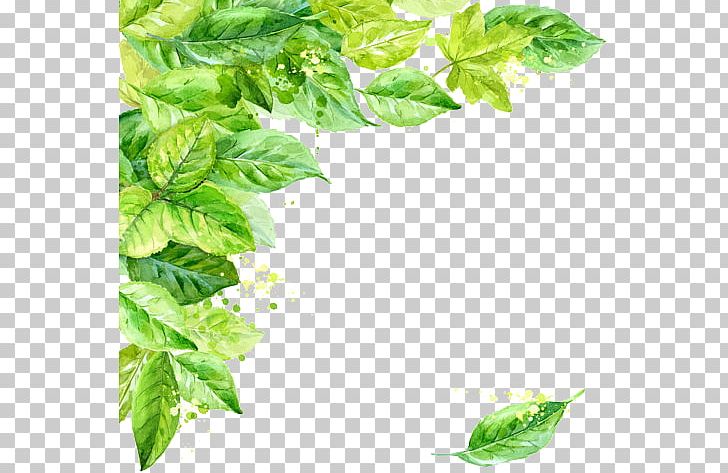 Leaf PNG, Clipart, Background, Border Frames, Clip Art, Display Resolution, Encapsulated Postscript Free PNG Download