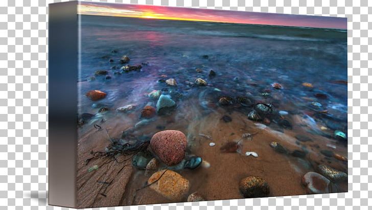 Sea Stock Photography Water Organism PNG, Clipart, Beach Sunset, Ocean, Organism, Photography, Rock Free PNG Download