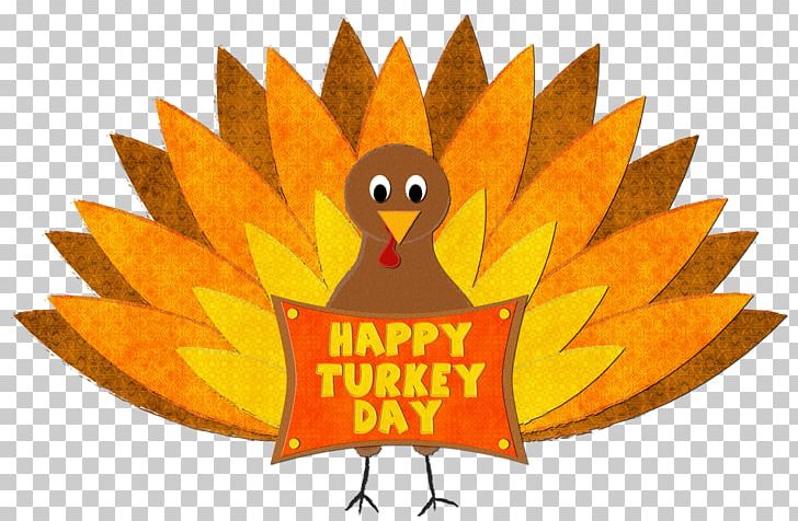 Turkey Meat Thanksgiving PNG, Clipart, Beak, Bird, Blog, Desktop Wallpaper, Domesticated Turkey Free PNG Download
