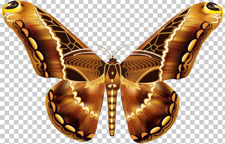 Butterfly Brown Greta Oto PNG, Clipart, Arthropod, Autumn Leaf Color, Beautiful, Brown, Butterflies Free PNG Download