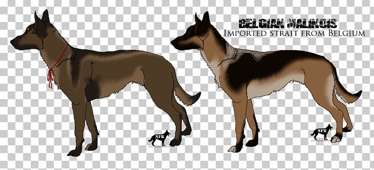 Dog Breed Malinois Dog German Shepherd Animal PNG, Clipart, Animal, Art, Breed, Carnivoran, Color Free PNG Download