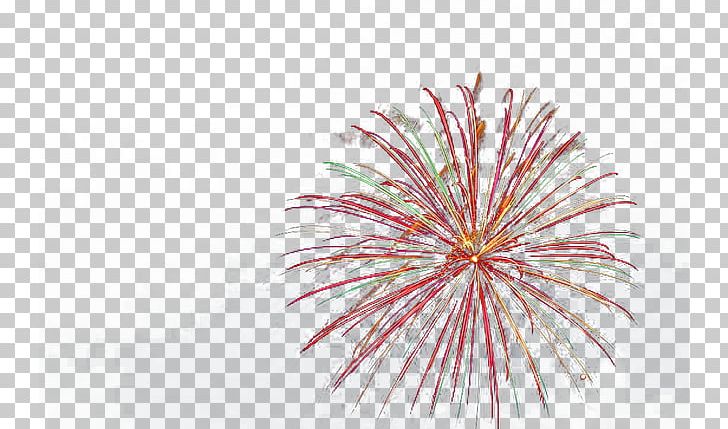 Fireworks Festival Firecracker Chinese New Year PNG, Clipart, Celebrate, Christmas, Creative Color Fireworks, Drawing, Festival Free PNG Download