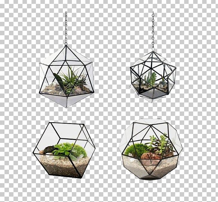 Flowerpot Terrarium Glass Android PNG, Clipart, Android, Bonsai, Download, Encapsulated Postscript, Flower Pot Free PNG Download