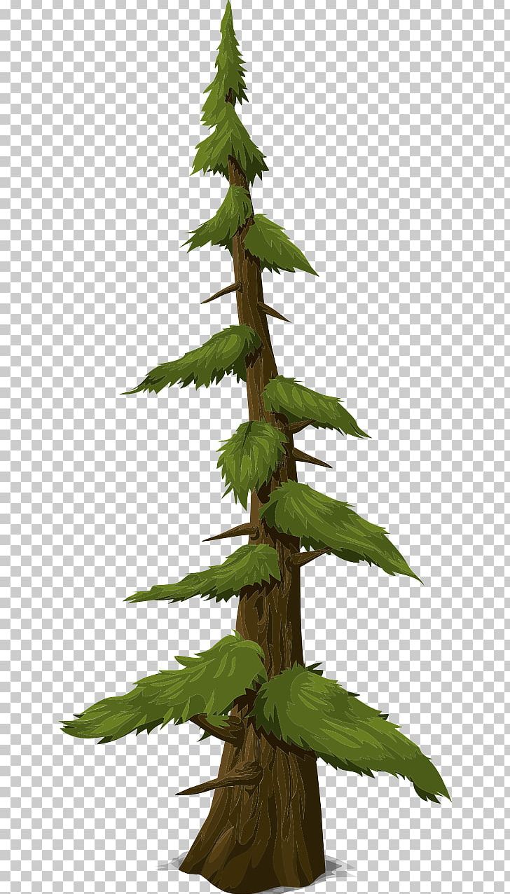 Tree Fir Trunk PNG, Clipart, Branch, Conifer, Conifers, Download, Evergreen Free PNG Download