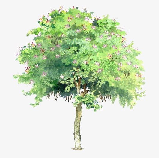 Trees Trees Transparent Element PNG, Clipart, Cartoon, Cartoon Trees, Element, Green, Green Tree Pictures Free PNG Download