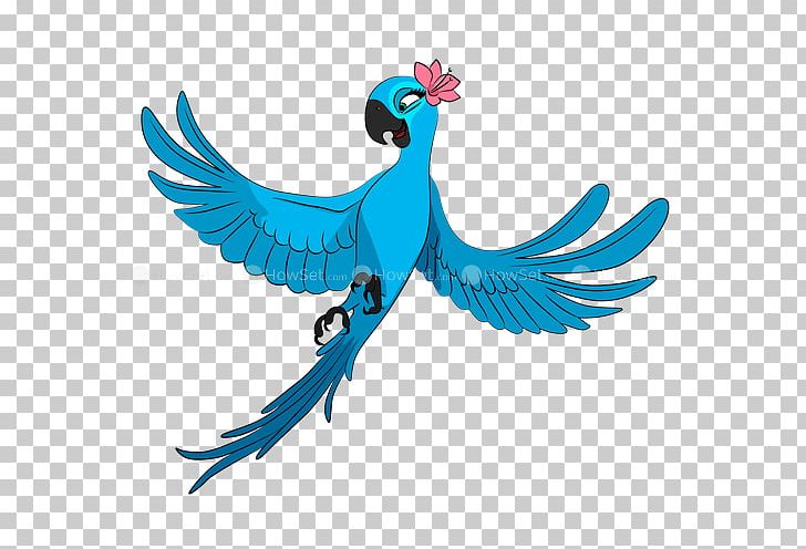 Blu Nigel Linda Rio PNG, Clipart, 2011, Art, Beak, Bird, Blu Free PNG Download