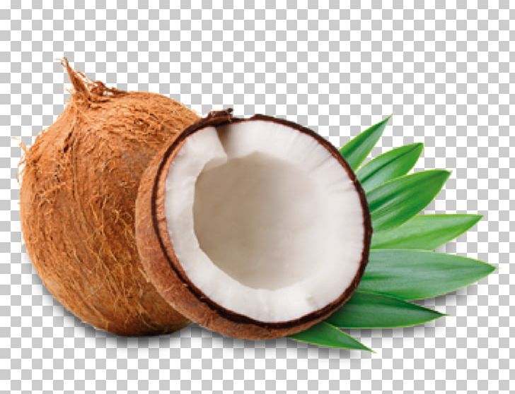 Coconut Water Coconut Oil Coconut Milk PNG, Clipart, Coconut, Coconut Milk, Coconut Milk Powder, Coconut Oil, Coconut Water Free PNG Download