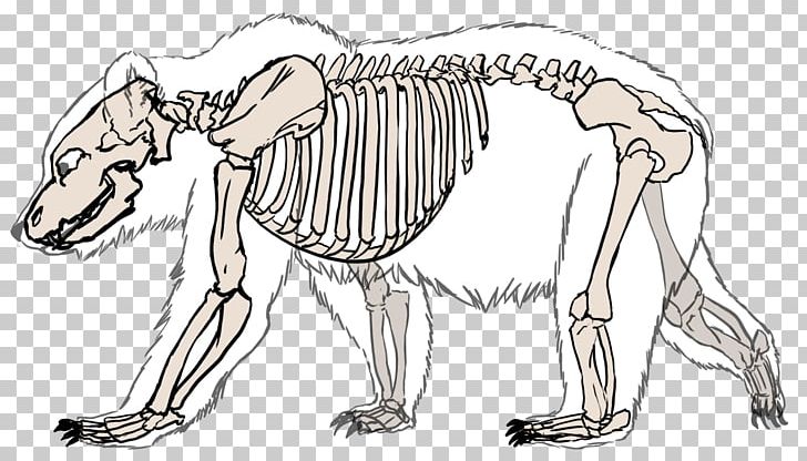 Giant Panda Polar Bear American Black Bear Human Skeleton PNG, Clipart, Anatomy, Animals, Arm, Artwork, Bear Free PNG Download