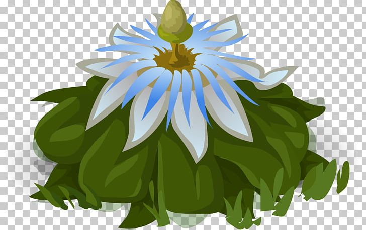 Petal Flower Passiflora Caerulea PNG, Clipart, Autumn, Botany, Daisy Family, Flower, Flower Clipart Free PNG Download