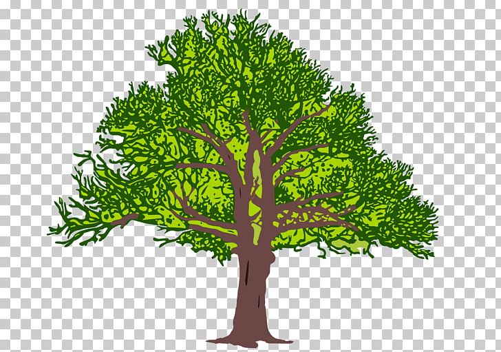Tree Stock Photography PNG, Clipart, Black And White, Branch, Computer Icons, Desktop Wallpaper, Grass Free PNG Download
