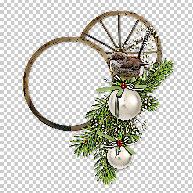 Christmas Decoration PNG, Clipart, American Larch, Branch, Christmas Decoration, Colorado Spruce, Conifer Free PNG Download