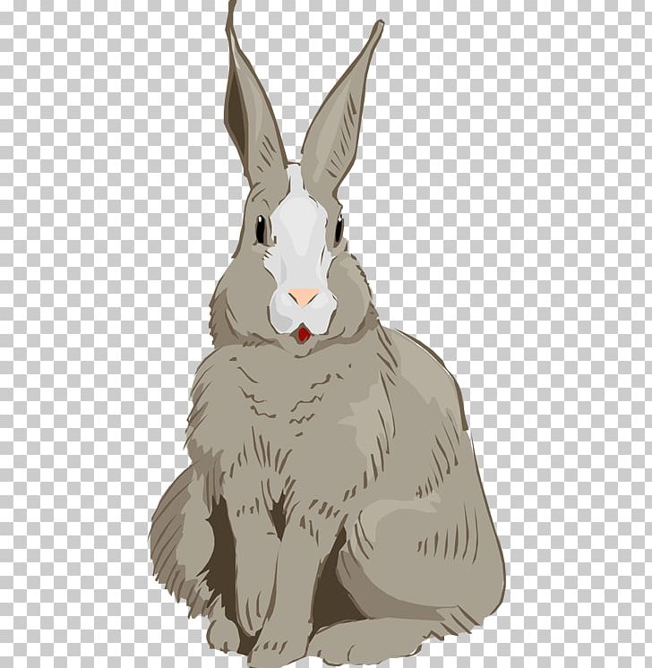 Domestic Rabbit Hare Easter Bunny Cottontail Rabbit PNG, Clipart, Animal, Animals, Beak, Canidae, Cartoon Free PNG Download