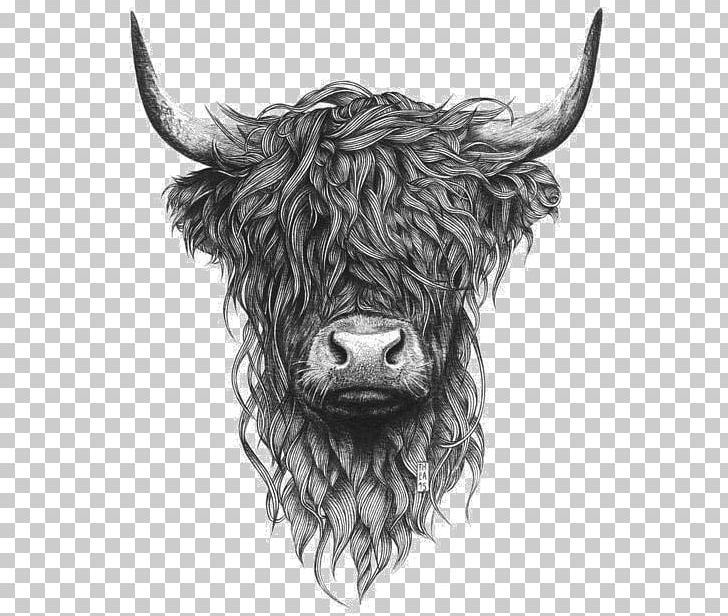 Highland Cattle Scottish Highlands Paper Drawing Printing PNG, Clipart, Art, Art Print, Black And White, Bull, Canvas Print Free PNG Download
