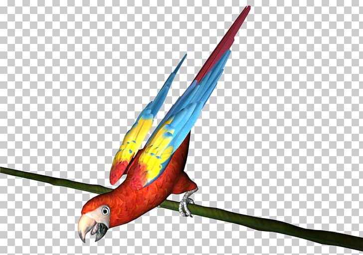 Macaw Parakeet 諾基亞 Eiffel Tower Feather PNG, Clipart, Beak, Bird, Common Pet Parakeet, Eiffel Tower, Feather Free PNG Download