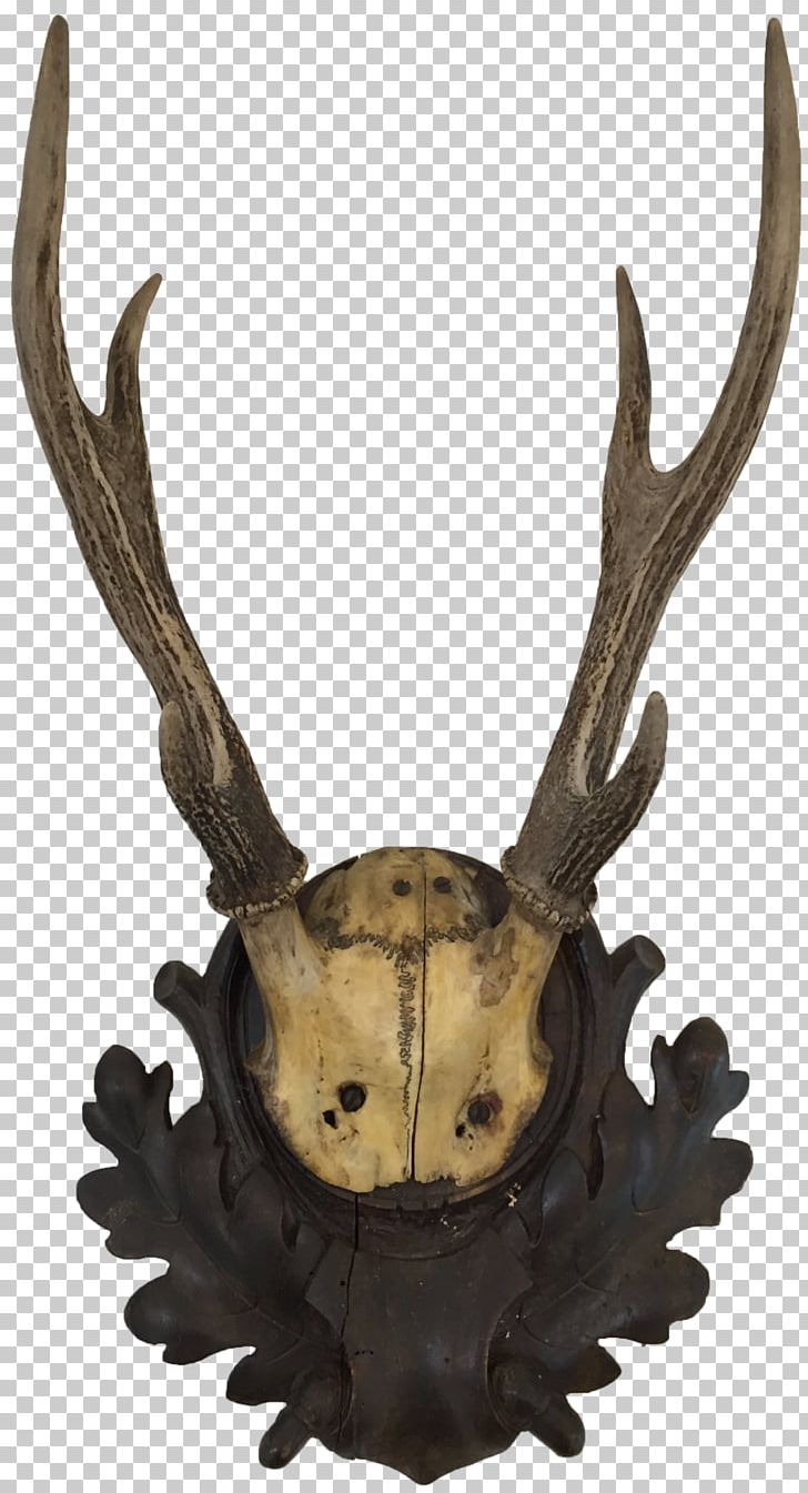 Deer Antler Horn Trophy Hunting Animal Product PNG, Clipart, Animal, Animal Product, Animals, Antler, Breadboard Free PNG Download