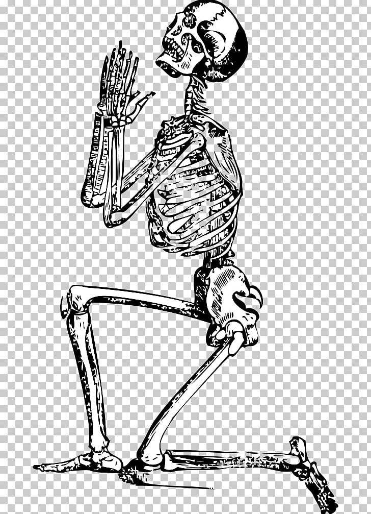 Human Skeleton PNG, Clipart, Arm, Art, Artwork, Black And White, Bone Free PNG Download