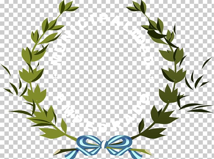 Bay Laurel Laurel Wreath Olive Wreath PNG, Clipart, Bay Laurel, Branch, Clip Art, Drawing, Flora Free PNG Download