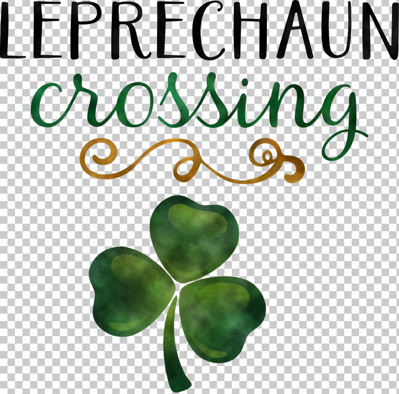 Leprechaun Patricks Day Saint Patrick PNG, Clipart, Biology, Green, Leaf, Leprechaun, Meter Free PNG Download