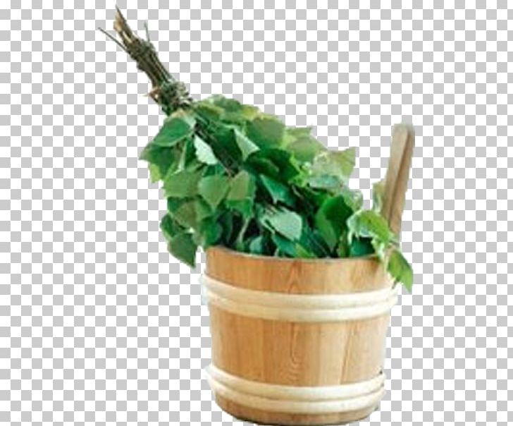 Banya Banny Venik Besom Sauna Birch PNG, Clipart, Banny Venik, Banya, Besom, Birch, Flowerpot Free PNG Download