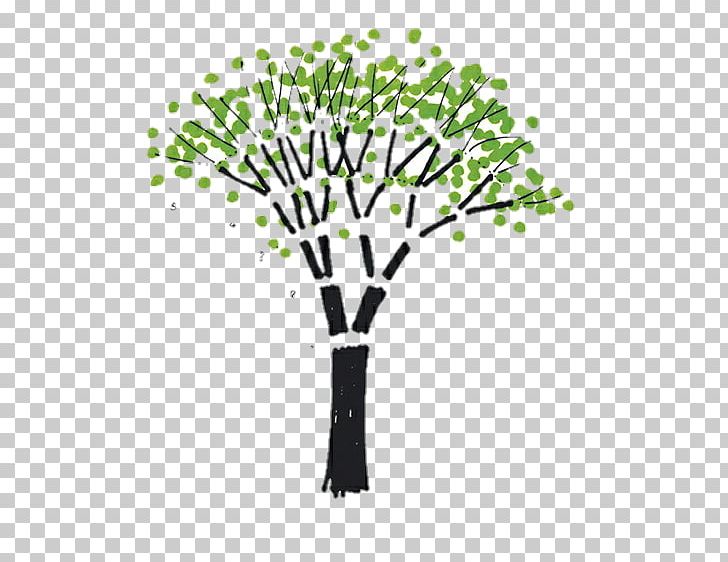 Drawing A Tree Drawing The Sun Square PNG, Clipart, Art, Artist, Book, Branch, Bruno Munari Free PNG Download