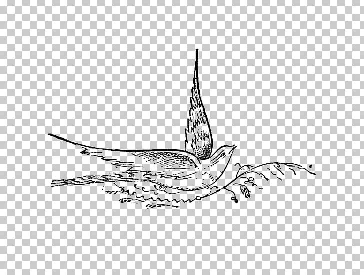 Bird Art PNG, Clipart, Animals, Art, Artwork, Bird, Black And White Free PNG Download