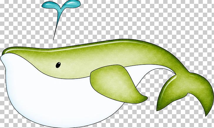 Cartoon U5357u4eacu6d77u5e95u4e16u754c Whale PNG, Clipart, Animal, Animals, Animation, Baleen Whale, Balloon Cartoon Free PNG Download