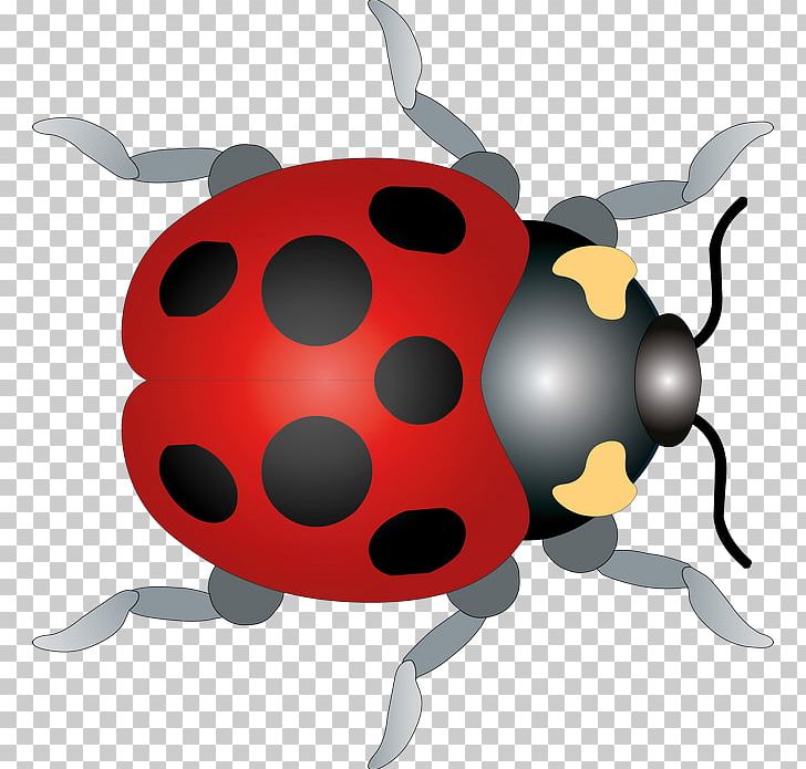 Ladybird Beetle PNG, Clipart, Animal, Animals, Beetle, Cartoon, Clip Art Free PNG Download