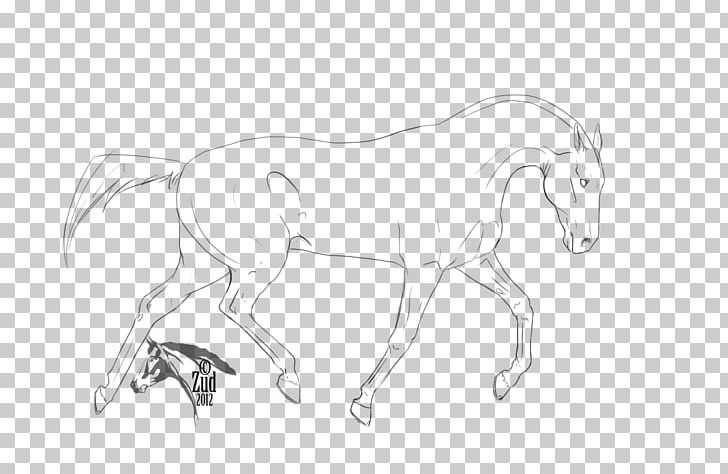 Mane Akhal-Teke Howrse Line Art Sketch PNG, Clipart, Akhalteke, Akhalteke, Animal Figure, Arm, Artwork Free PNG Download
