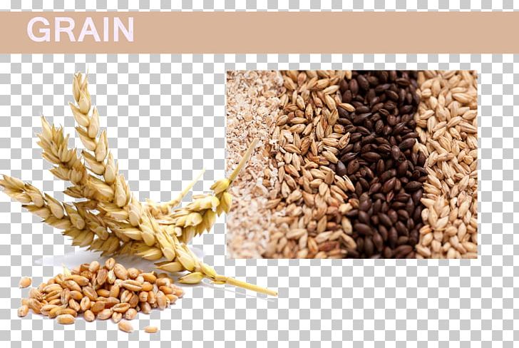 Organic Food Wheat Beer Cereal PNG, Clipart, Avena, Beer, Bran, Business, Cereal Free PNG Download